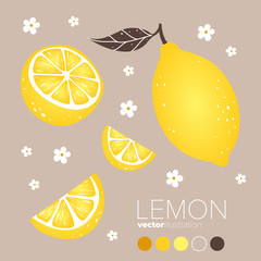Lemon, lemon slice with flowers and leaves. Vector illustration - 153469315