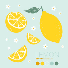 Lemon, lemon slice with flowers and leaves. Vector illustration - 153469352