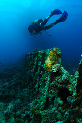 Naklejka na ściany i meble Scuba diver swim over the ribs of very old ship wreck