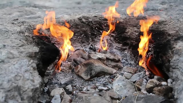 Chimera -Fire Flames