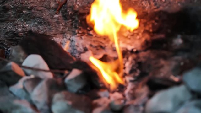 Chimera -Fire Flames
