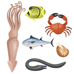 Set of different types of sea animals illustration tropical character wildlife marine aquatic fish