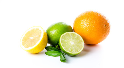 Composition of lemon orange and lime and mint leaves