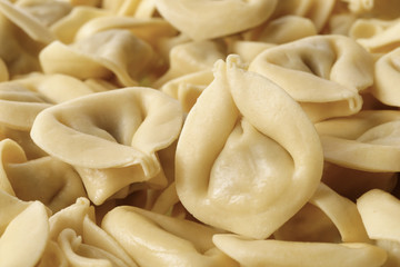 Homemade traditional tortellini