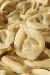 Homemade traditional tortellini