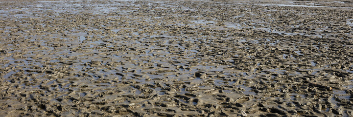 Wattenmeer bei Ebbe, Cuxhaven, Niedersachsen, Deutschland, Europa