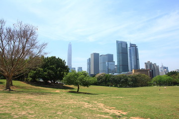 Skyline of Shenzhen, China