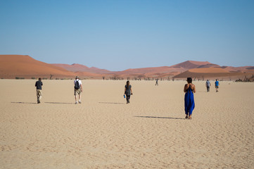 Fototapeta na wymiar People Walking in the Desert, Sossusvlei Salt Pan Desert Landscape with Dead Trees, Namibia