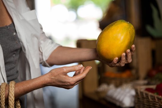 Woman Hand Holding Papaya