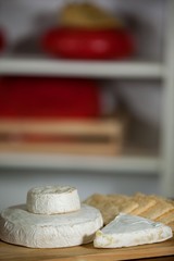 Close-up of cheese at counter