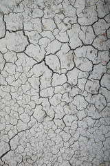 dry cracked earth texture