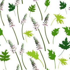 Vector floral seamless pattern with lupin plant flowers and leaves. Hand drawn illustration on white background.
