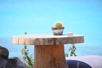Kleiner Kaktus auf großem Holztisch oberhalb der Küste - das Meer und den blauen Himmel im...