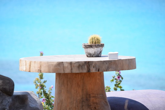 Kleiner Kaktus auf gro&szlig;em Holztisch oberhalb der K&uuml;ste - das Meer und den blauen Himmel im Hintergrund
