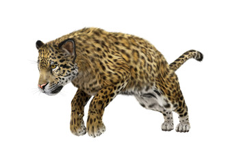 3D Rendering Big Cat Jaguar on White
