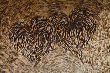 heart made of leaves for backgroundwith soft focus