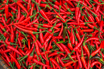 Fototapeta premium hot red сhinese pepper