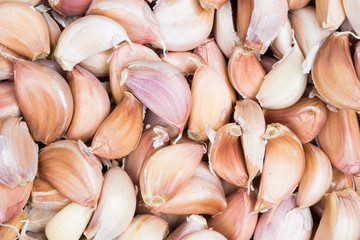 garlic group background