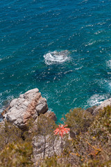 The Summer Blue sea with the rock