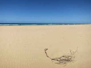 Australien Lakes Entrance Victoria 1