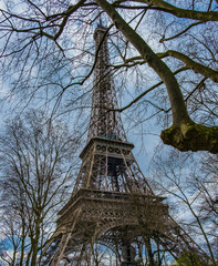 Eiffel Tower Through The Trees In The Winter