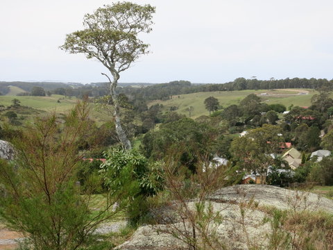 Australien Tilba Tilba Umgebung 3