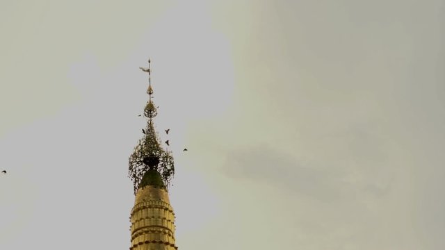 Pathein, pigeons flying over at Shwemokehtaw Pagoda