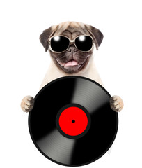 Dog with sunglasses holds a vinyl record and retro microphone . Isolated on white background