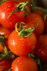 Raw Organic Red Cherry Tomatoes