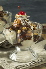 Sweet Homemade Ice Cream Sundae