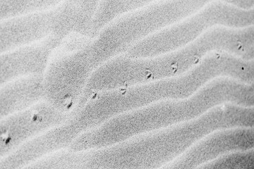 Fototapeta na wymiar sable, plage