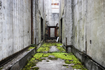 Fototapeta na wymiar Drzwi w ruinach