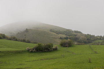 By the village of Argueso in the province of Cantabria