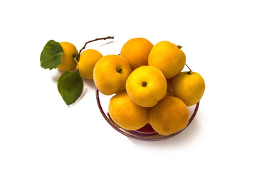 Wonderful apricot fruit pictures with white background,
