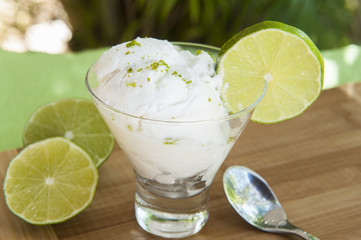 Lime Ice Cream