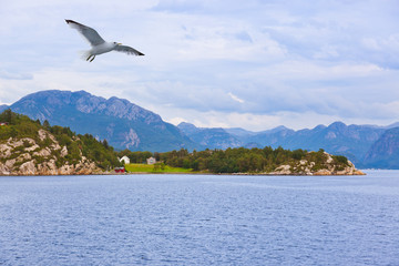 Fjord Lysefjord - Norway