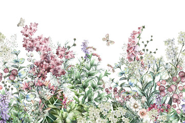 seamless rim. Border with Herbs and wild flowers, leaves. Botanical Illustration Colorful illustration on white background. Spring composition with butterfly