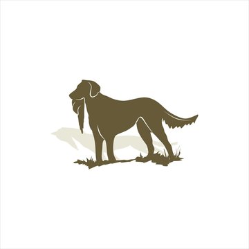 Hunting dog vector illustration