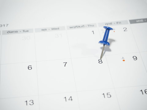 World ocean day, pin on calendar