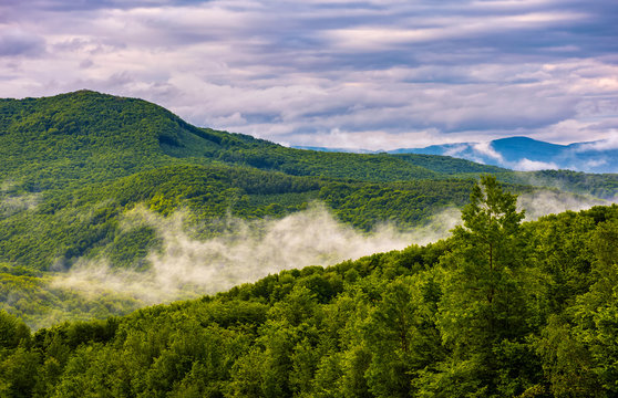foggy mountain ridge over the forest in springtime