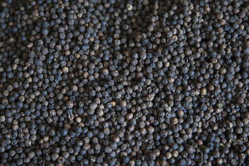 Dry peppercorn produced by Piper nigrum or black pepper plant
