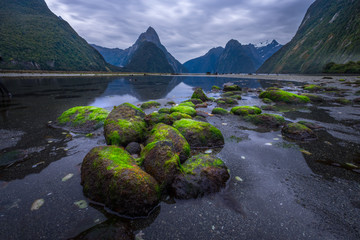Milford Sound (Piopiotahi) is a famous attraction in the Fiordland National Park, New Zealand's South