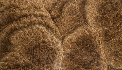 onyx decorative stone background beautiful design structure