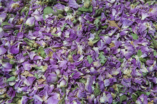 Vibrant rose petals at a traditional herbalist market stall, at the medina of Marrakesh, the imperial city, Morocco