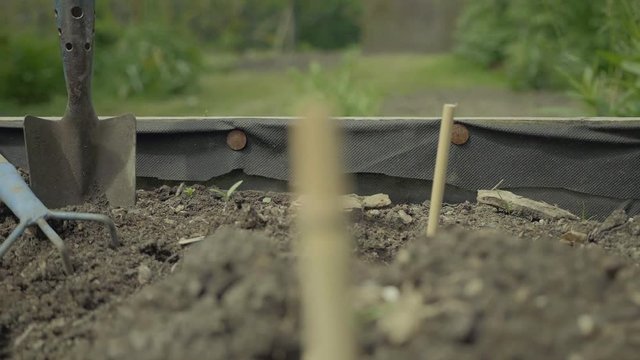 Digging hole and planting seeds. Vegetable elevated wooden beds. Gardening equipment for home gardeners. Trowel, rake and seed setting. Sunny day, agriculture equipment. V-log slow motion footage