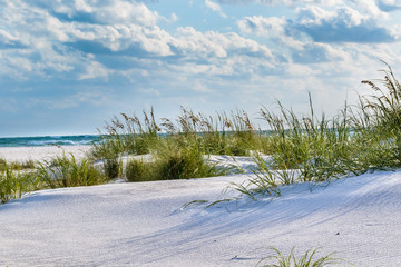 Beach Sand Dunes