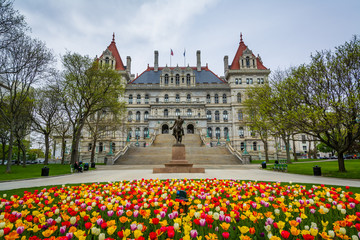Tulips and The New York State Capitol, in Albany, New York.