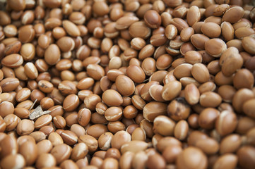 Background of argan seeds produced by Argania spinosa tree, popular for its oils, used in cosmetic manufacturing, body and hair treatments, in Marrakech, Morocco