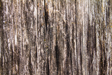 wood, Board, plank, wood surface. wooden background, texture