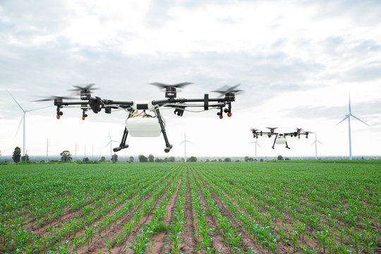 Agriculture drone flying on the green corn field
